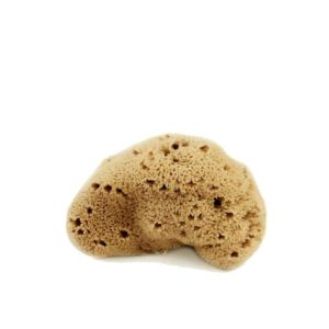 Spugna Fine Dama Lavata 4/5gr