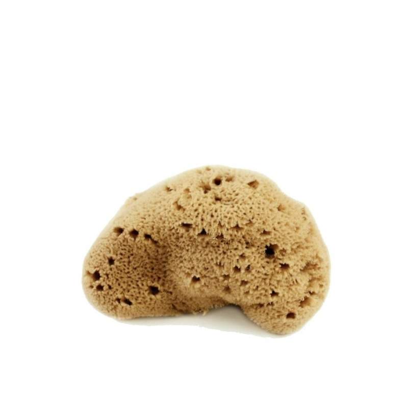 Spugna Fine Dama Lavata 4/5gr